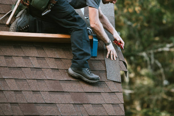 Roof Gutter Cleaning in Leonville, LA